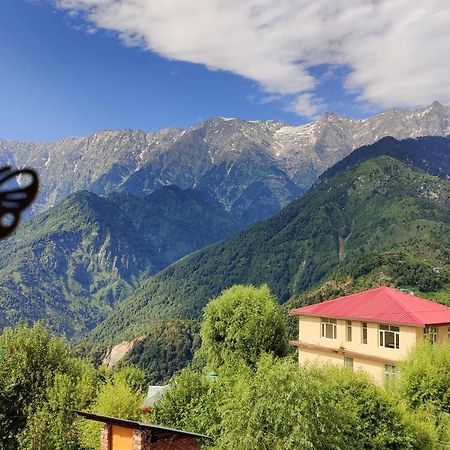 Sahaj Homestay Naddi Dharamsala Zewnętrze zdjęcie