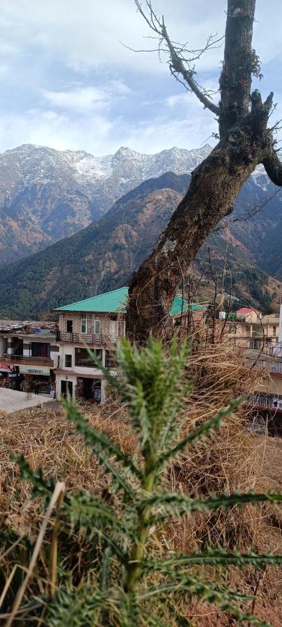 Sahaj Homestay Naddi Dharamsala Zewnętrze zdjęcie